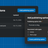 Publishing Options admin screens: the options list with two entries, and the add form naming "Promote to blog" with Blog ticked.
