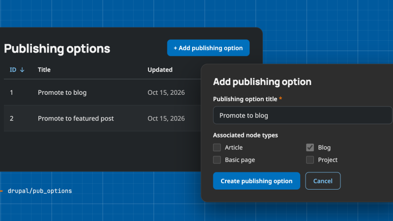 Publishing Options admin screens: the options list with two entries, and the add form naming "Promote to blog" with Blog ticked.